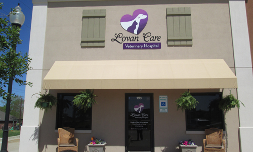 Lovan Care Animal Clinic