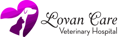 Lovan Care Animal Clinic