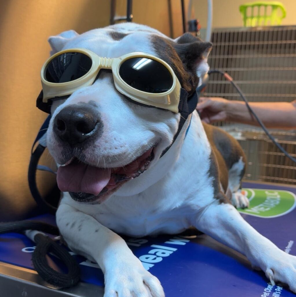 Got to protect those eyes!