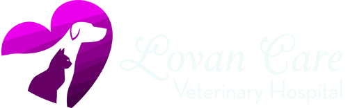 Lovan Care Logo White